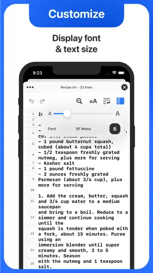 Screenshot von Text Editor auf dem iPhone 4
