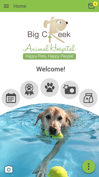 Big Creek Animal Hospital