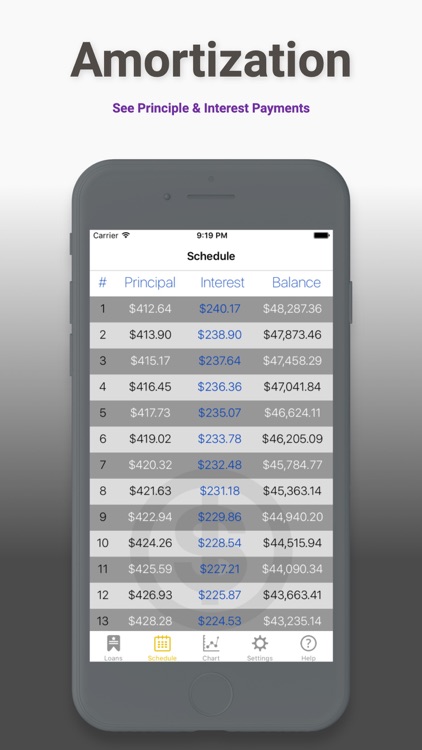 Student Debt & Loan Calculator