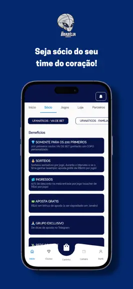 Game screenshot Brasília Basquete apk