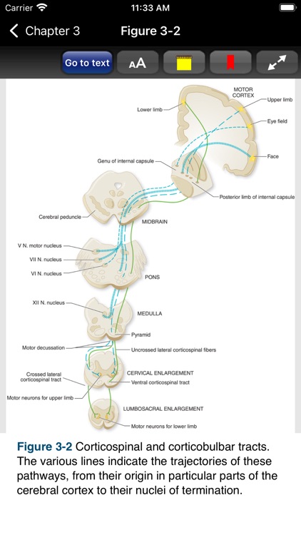 Adams & Victor's Neurology 12E screenshot-6