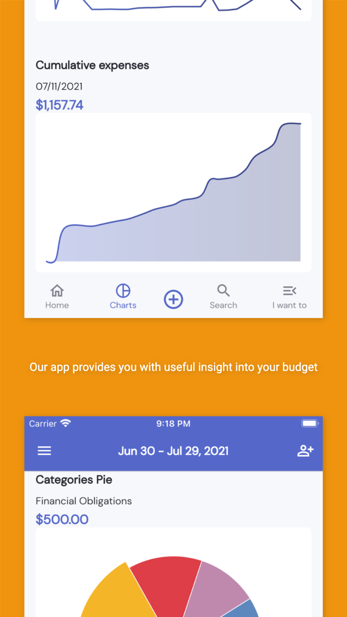 iSaveMoneyGo Budget spending