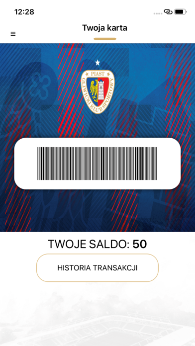 Piast Gliwice Screenshot