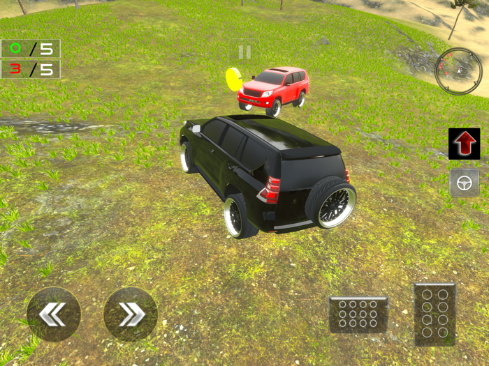 Crazy 4x4 Prado Offroad 2024