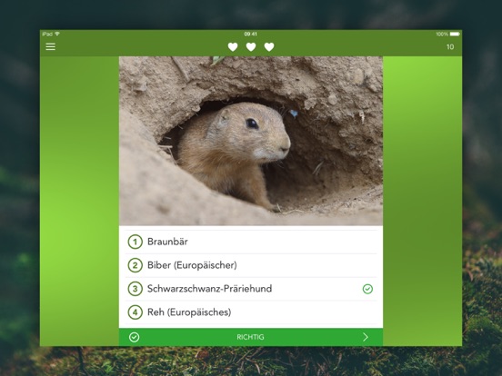 Wilde Tiere und Spuren PRO iPad app afbeelding 4