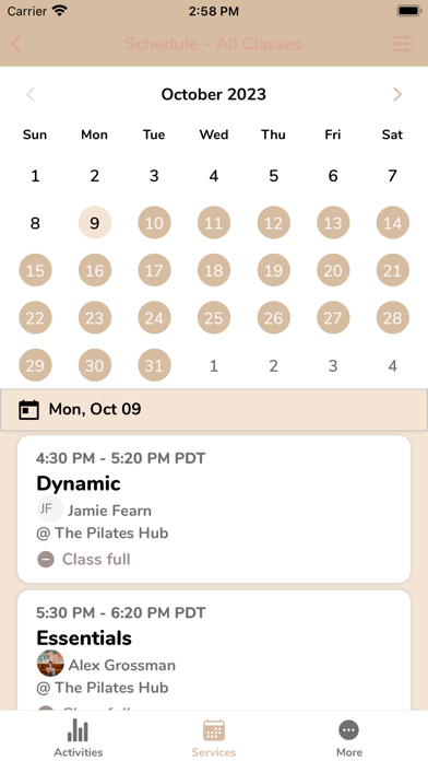 The Pilates Hub Screenshot
