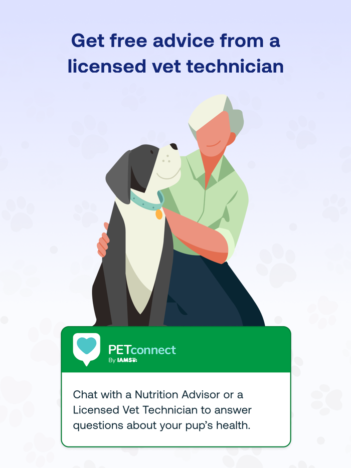 Tapp – Dog Health Tracking