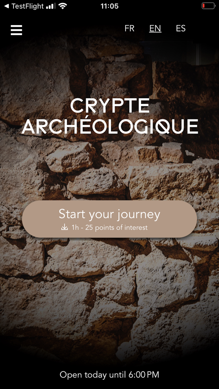 Archaeological Crypt