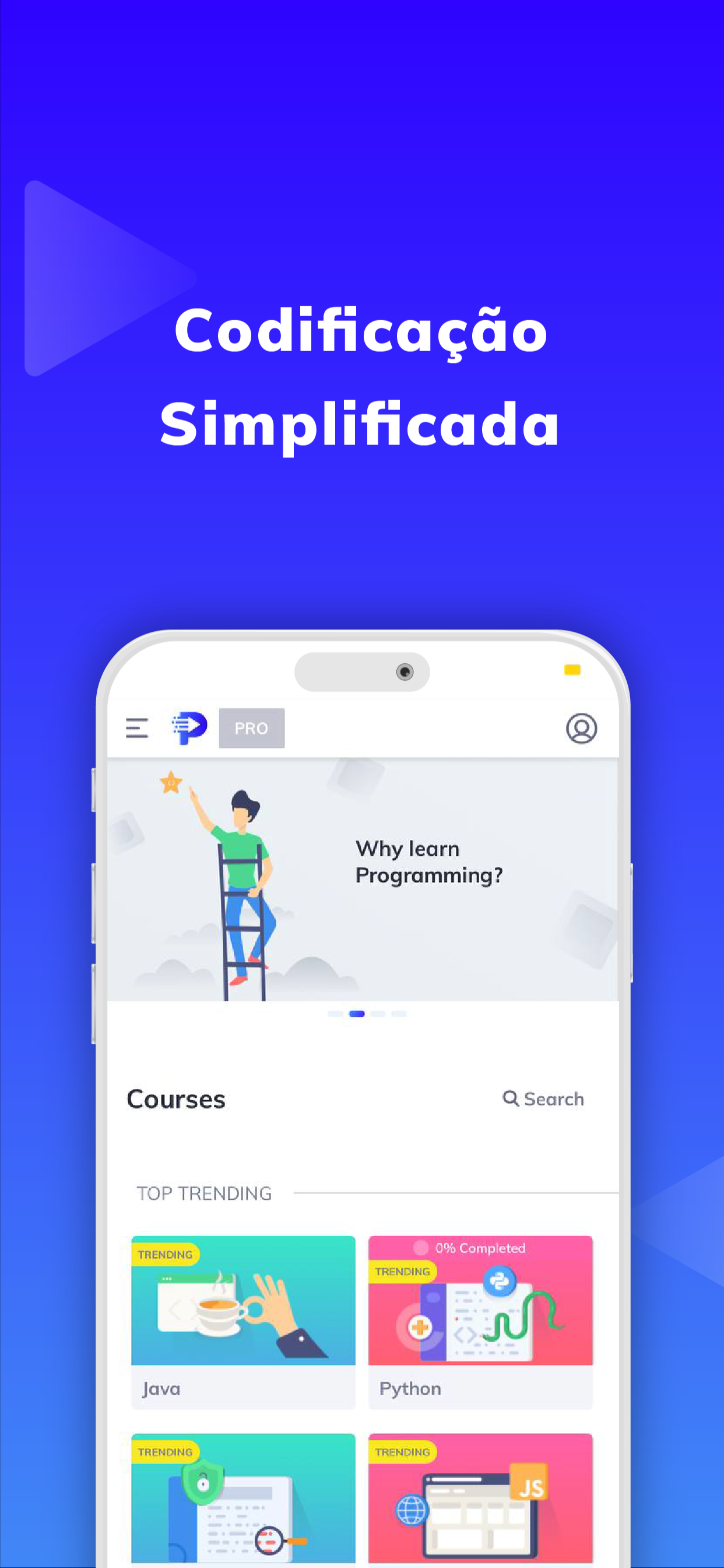Programming Hub: Learn Coding