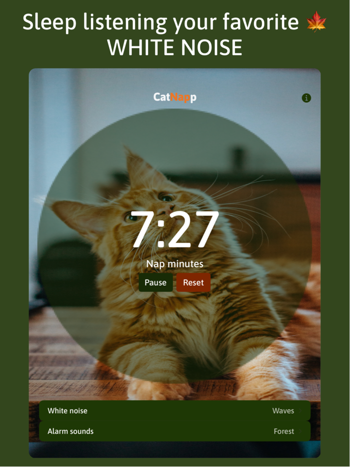 CatNapp - Timer for power naps