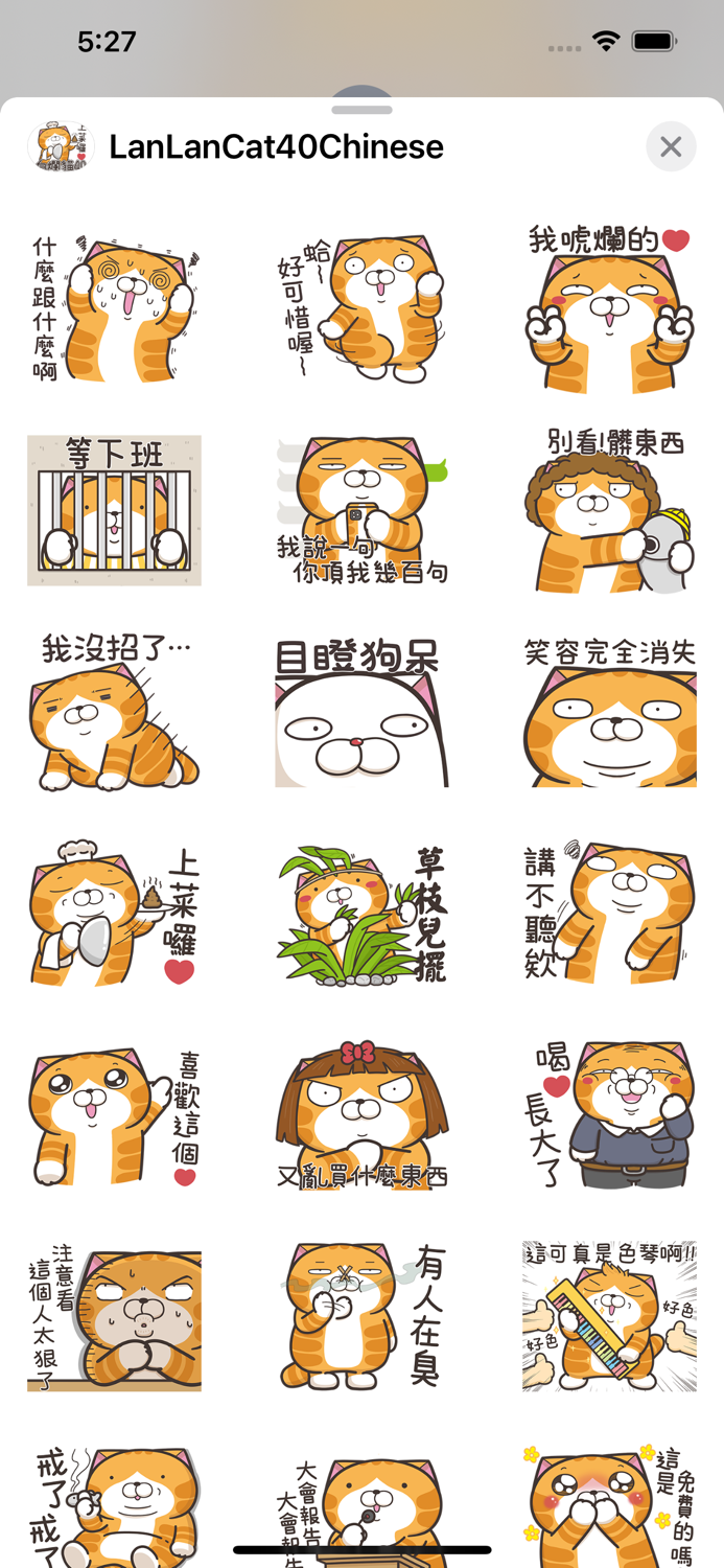 白爛貓40 超活潑