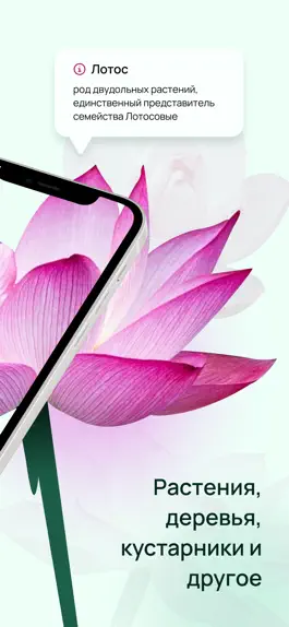 Game screenshot Herbs & Flowers identificator apk