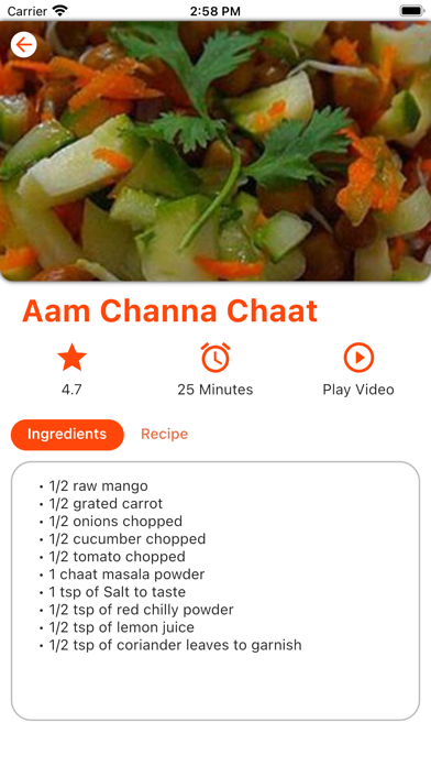All Indian Recipes Offline Screenshot