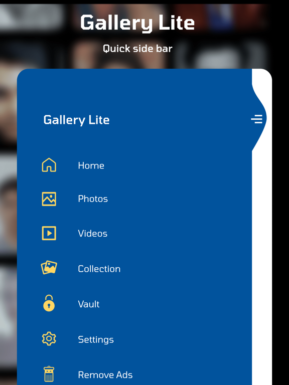Gallery Lite Photo Video Vault iPad screenshot 4 - Photo & Video app