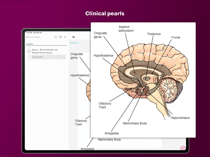PsychNotes Clinical Pkt Guide