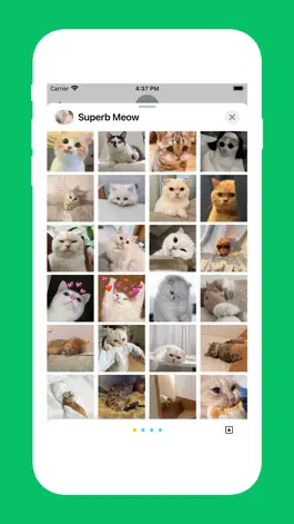 Game screenshot Superb Meow mod apk