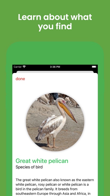 Naturify screenshot-4