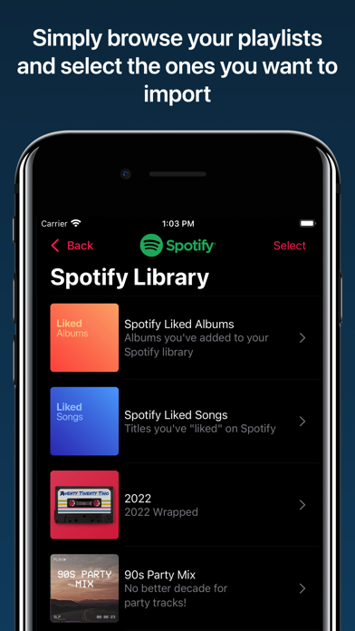 Playlisty for Apple Music Screenshot