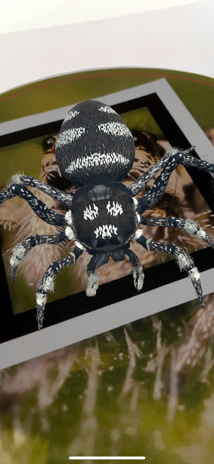 Spiders Augmented Reality