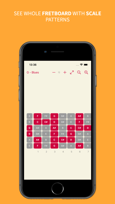 Any Chord Screenshot