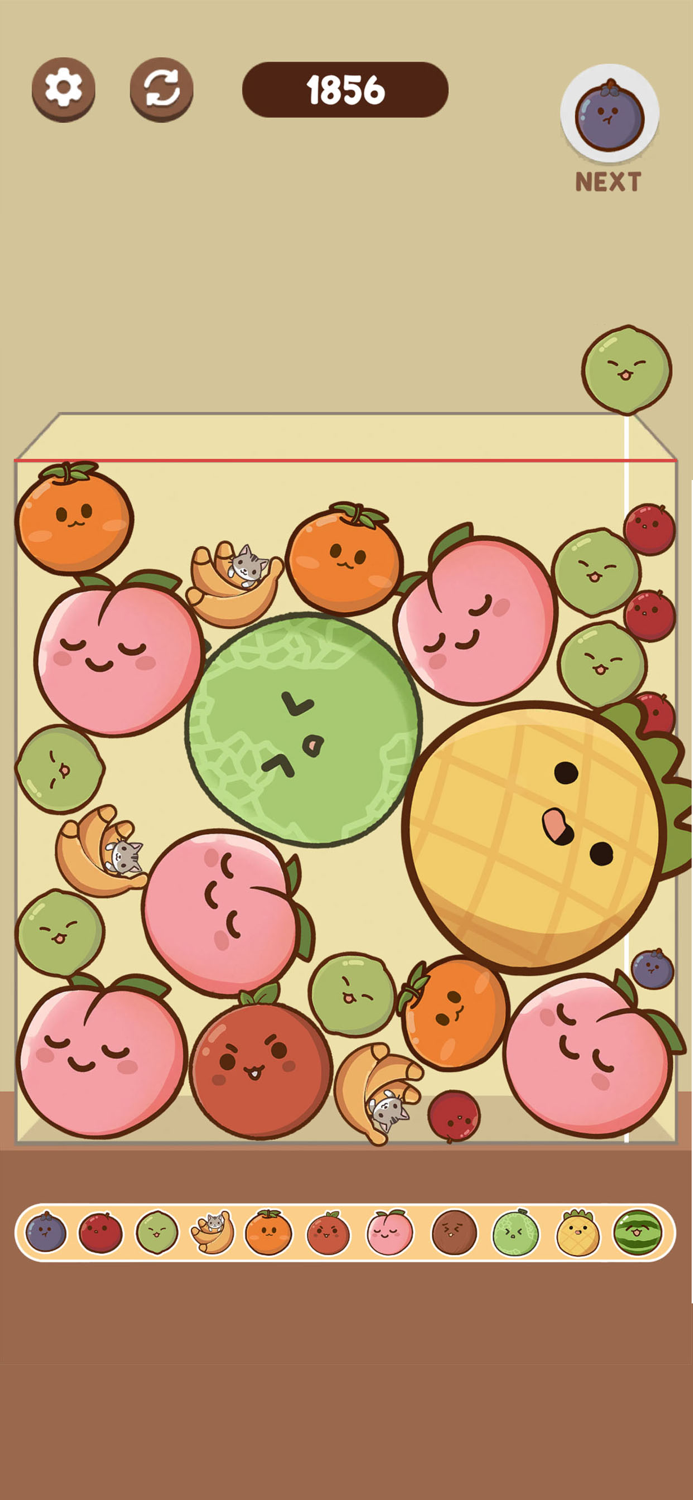 Watermelon Game Kawaii Fruit