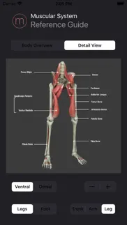 human muscular system guide iphone screenshot 4