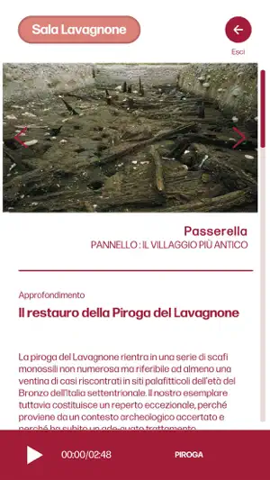 Museo Archeologico G Rambotti screenshot 2
