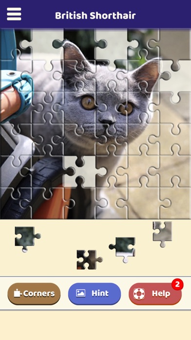 Screenshot #3 pour British Shorthair Puzzle