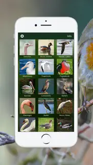 bird songs europe north africa iphone screenshot 3
