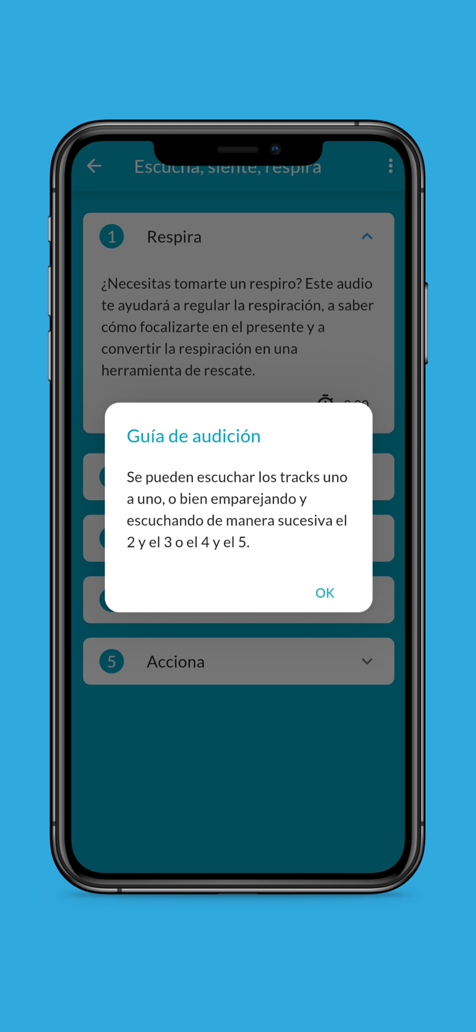 Respira Siente y Fluye