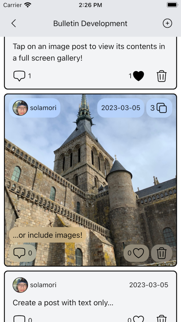 Bulletin - The Social Medium
