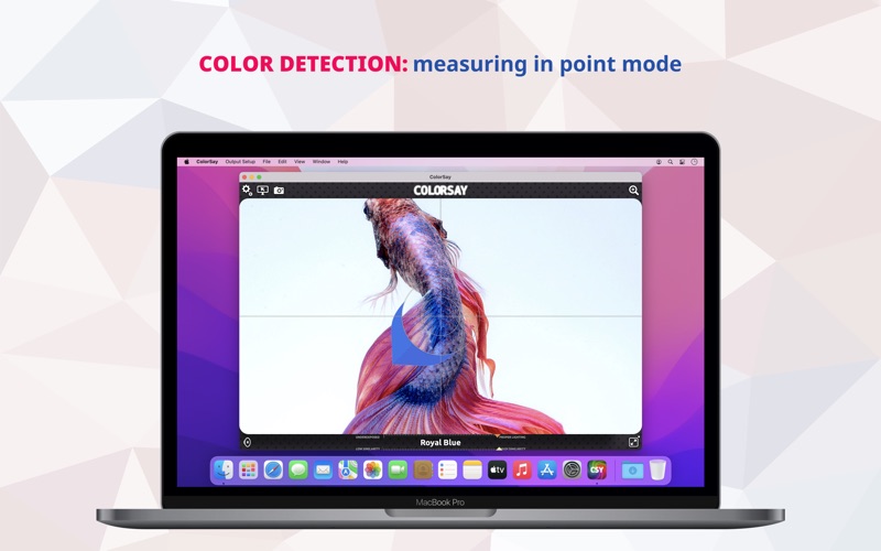 colorsay m • color scanner iphone screenshot 3
