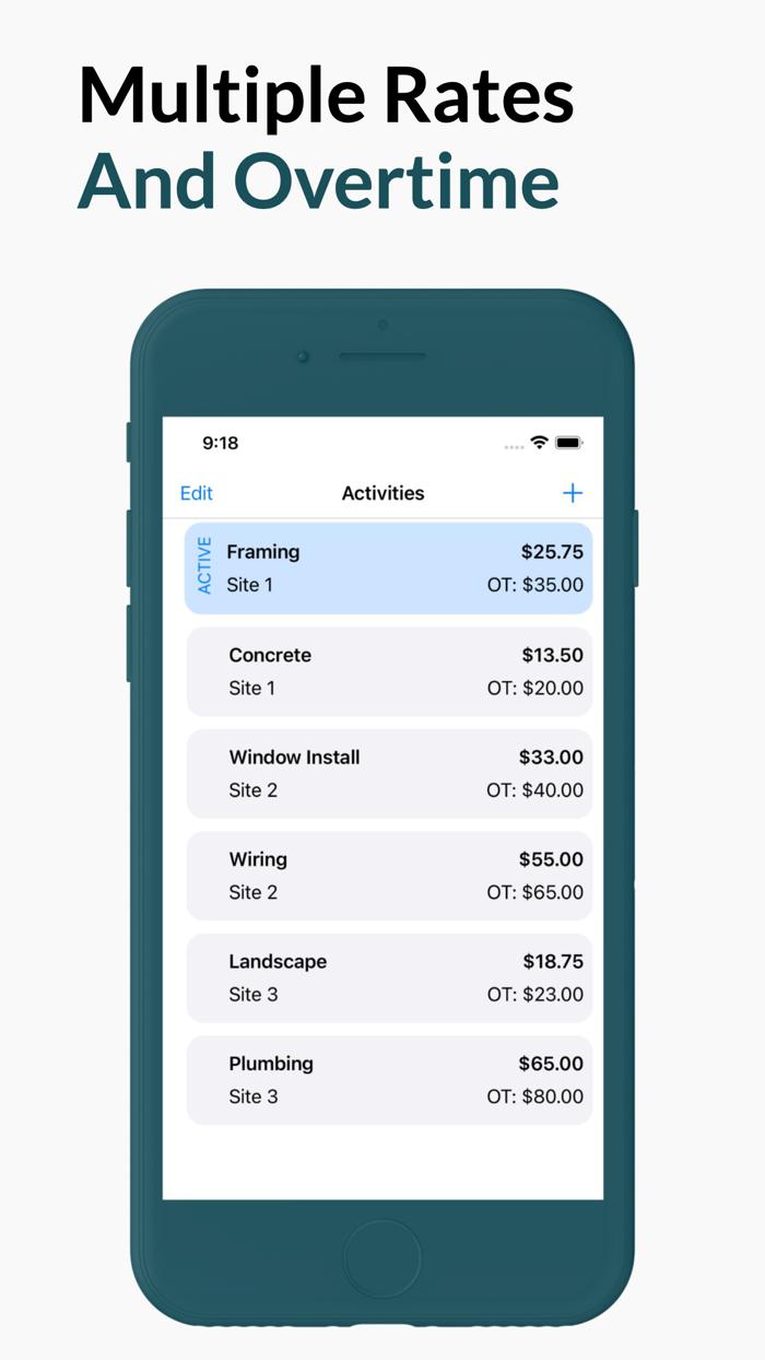 Timesheet and Activity Log