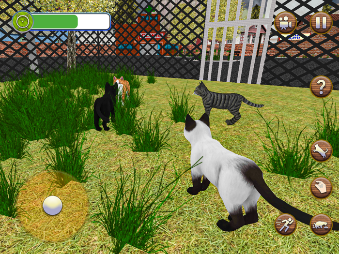 Animal Shelter Pet Cat Games