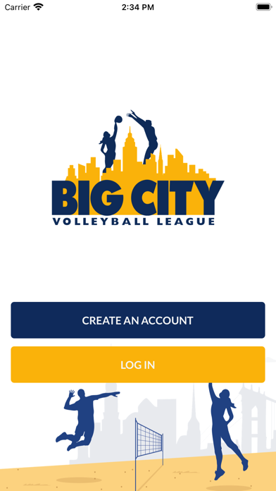 Big City Volleyball Screenshot