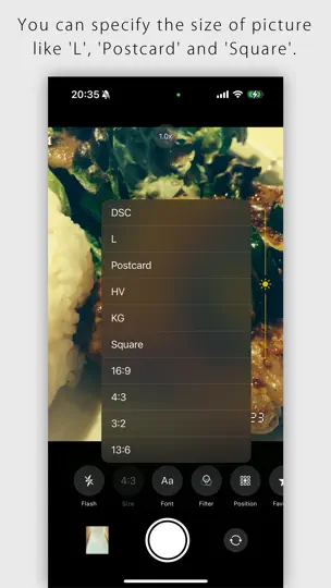 Скриншот DateCam на iPhone 4