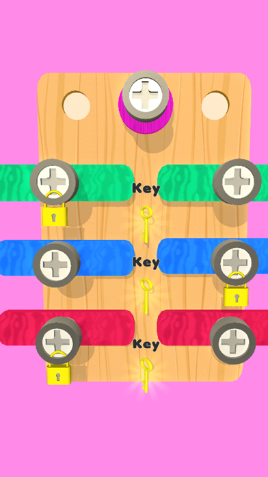 Screw Puzzle 3D Screenshot