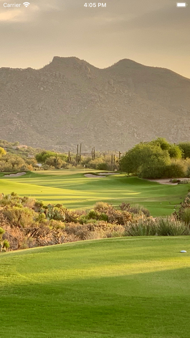 Desert Forest GC Screenshot