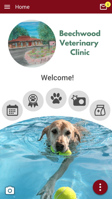 Beechwood Vet Clinic Screenshot