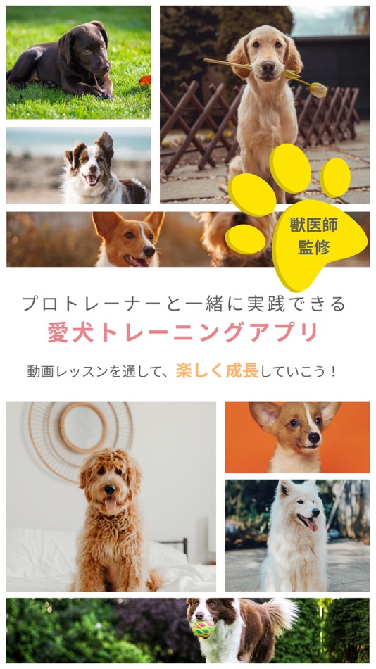 #1. パピトレ - 愛犬のしつけアプリ (iOS) Ved: ソプラ銀座株式会社
