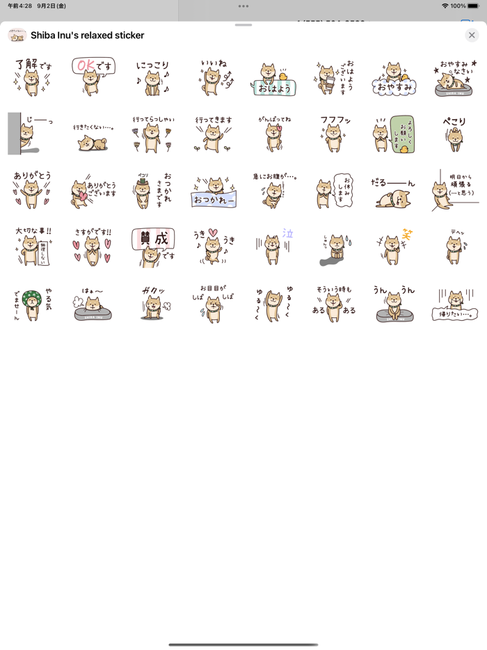 Shiba Inus relaxed sticker