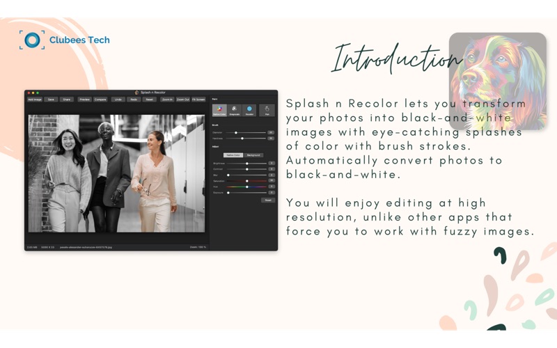 Screenshot #2 pour Image Splash