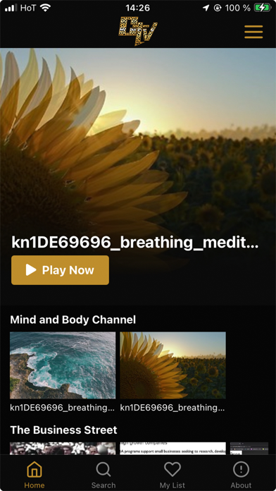 CheetahTV Screenshot