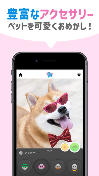 おしゃべりペット:犬や猫の面白動画メーカー・Pet写真加工のスクリーンショット - 5
