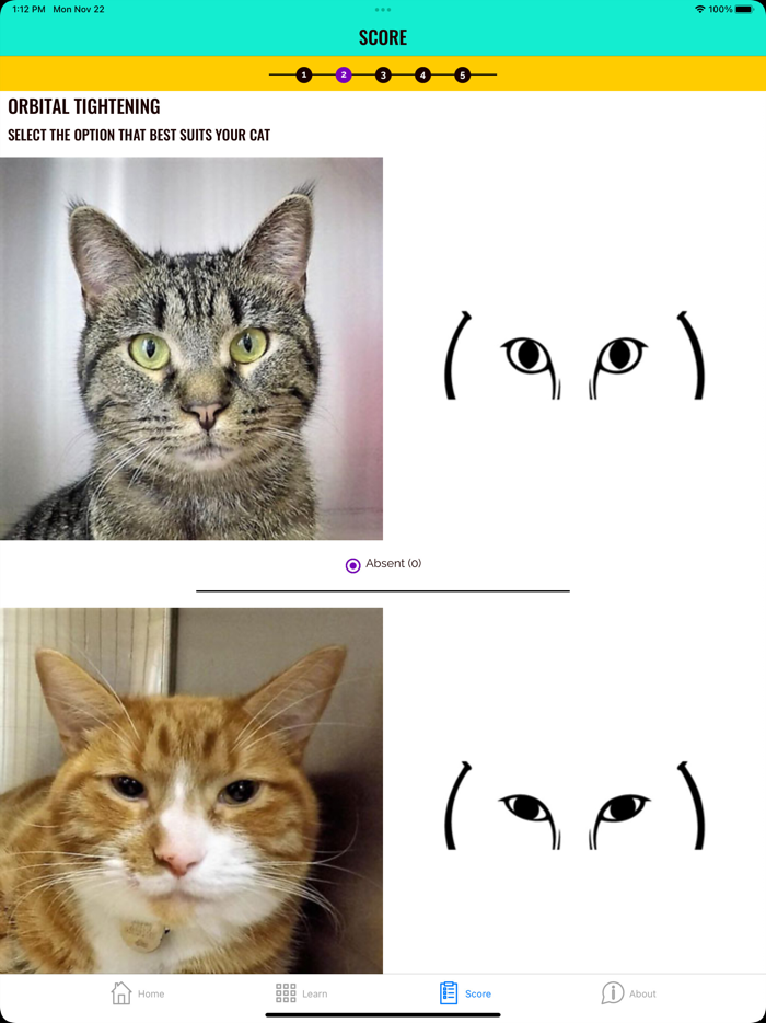 Feline Grimace Scale
