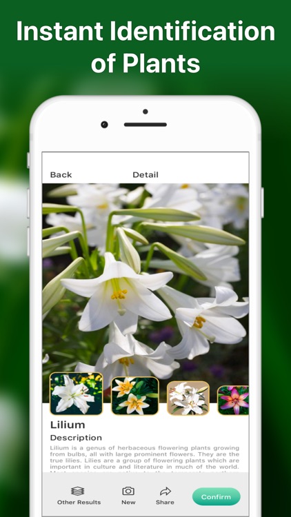 Plant Identification LeafSnap screenshot-4