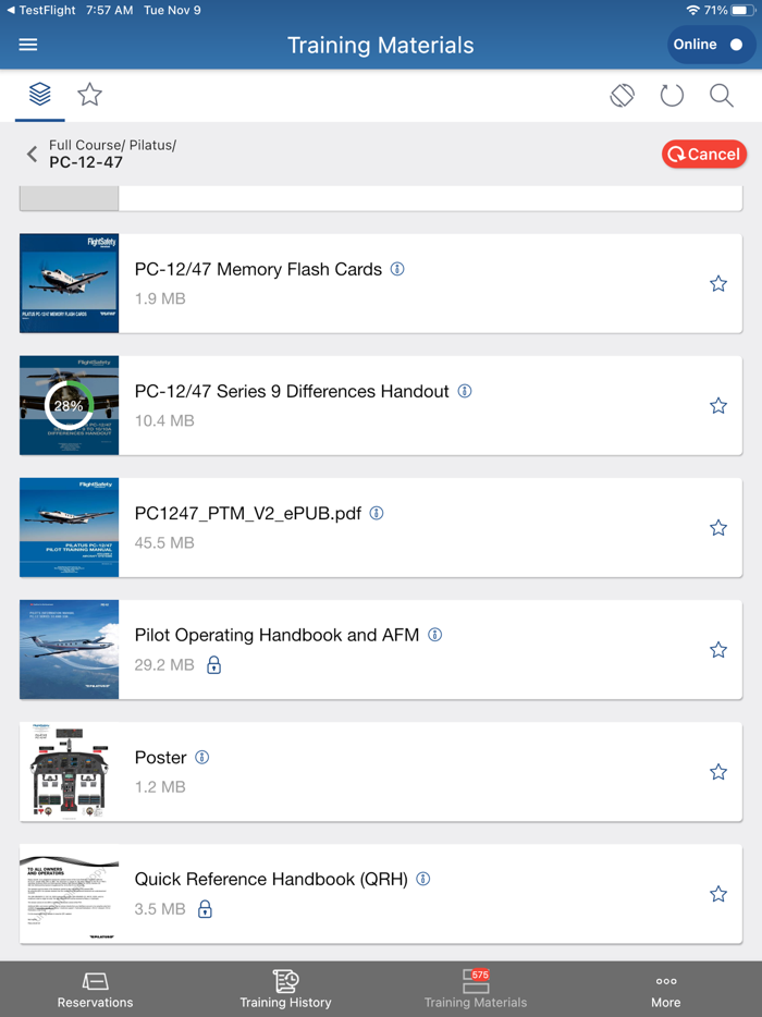 FlightSafety International