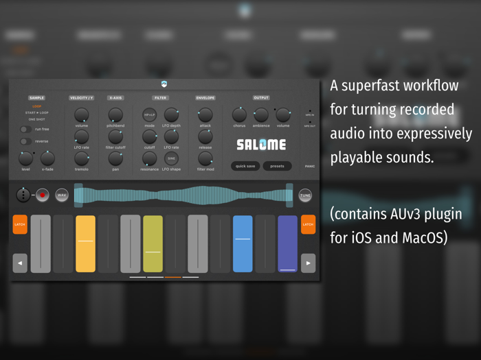 Salome - MPE Audio Sampler