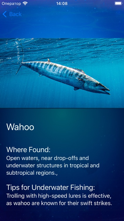 Underwater fishing tracker