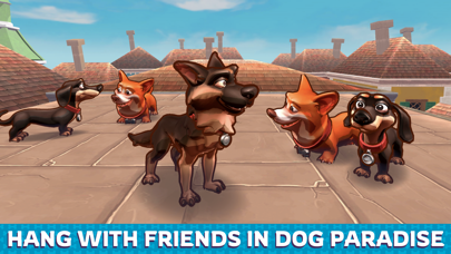 Dog Game Screenshot